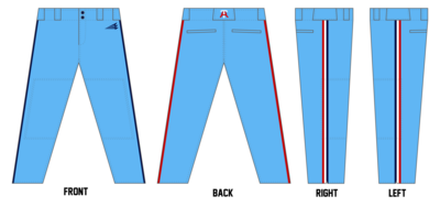 Arlington Twins Custom Relaxed Baseball Pant #BP6DX