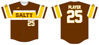 Salty Dawgs Custom NanoDri Baseball Jersey #J3