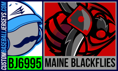 Maine Blackflies