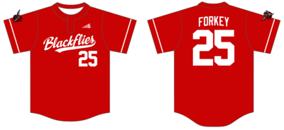 Maine Blackflies Custom Nanodri Baseball Jersey #J5B