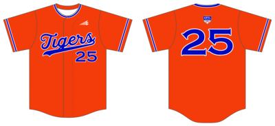 Austin United Tigers Custom HexaFlex Baseball Jersey #J3d