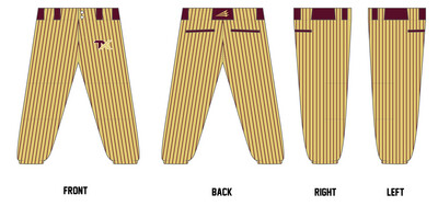 TEXAS EXPRESS Custom Elite Softball Pant #FP1B