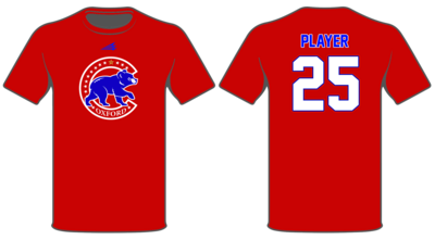 Oxford Cubs Custom HyperTee #HT1