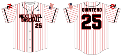 Next Level (Quintero) Custom NanoDri Baseball Jersey #J1