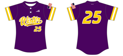 Wister Lady Wildcats Custom NanoDri Softball Jersey #J2d