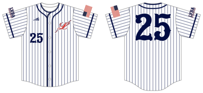LVBA Lightning Custom NanoDri Baseball Jersey #J4c