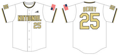 D1 National Custom NanoDri Baseball Jersey #J2d