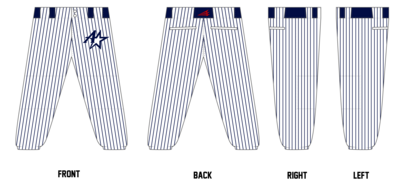 Midwest Astros Academy Custom Elite Softball Pant #FP5