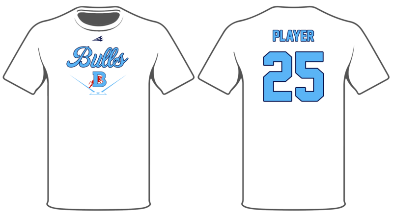 Bulls Custom HyperTee #HT6