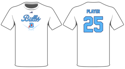 Bulls Custom HyperTee #HT6