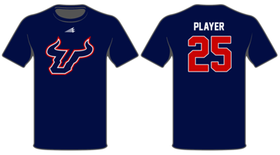 Bulls Baseball Custom HyperTee #HT1