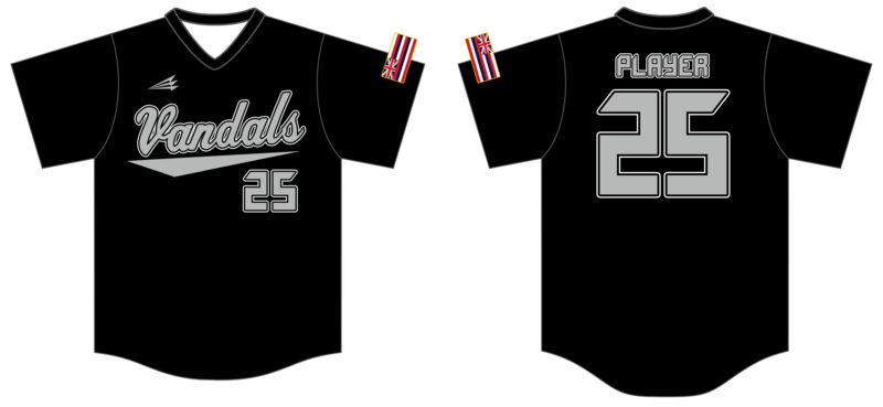 Vandals Custom HexaFlex Baseball Jersey #J4