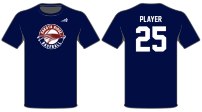 Dakota Ridge Eagles Custom HyperTee #HT1