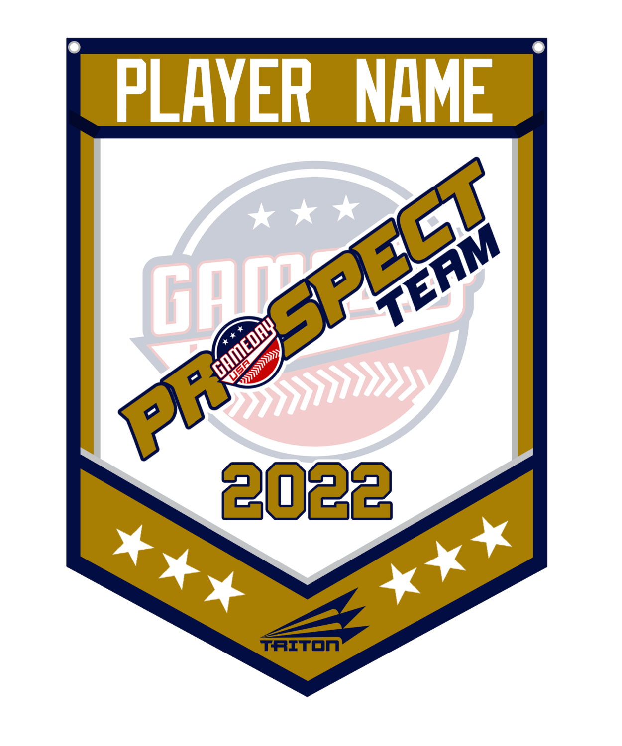 Game Day USA Prospect Team Custom Banner #CB1