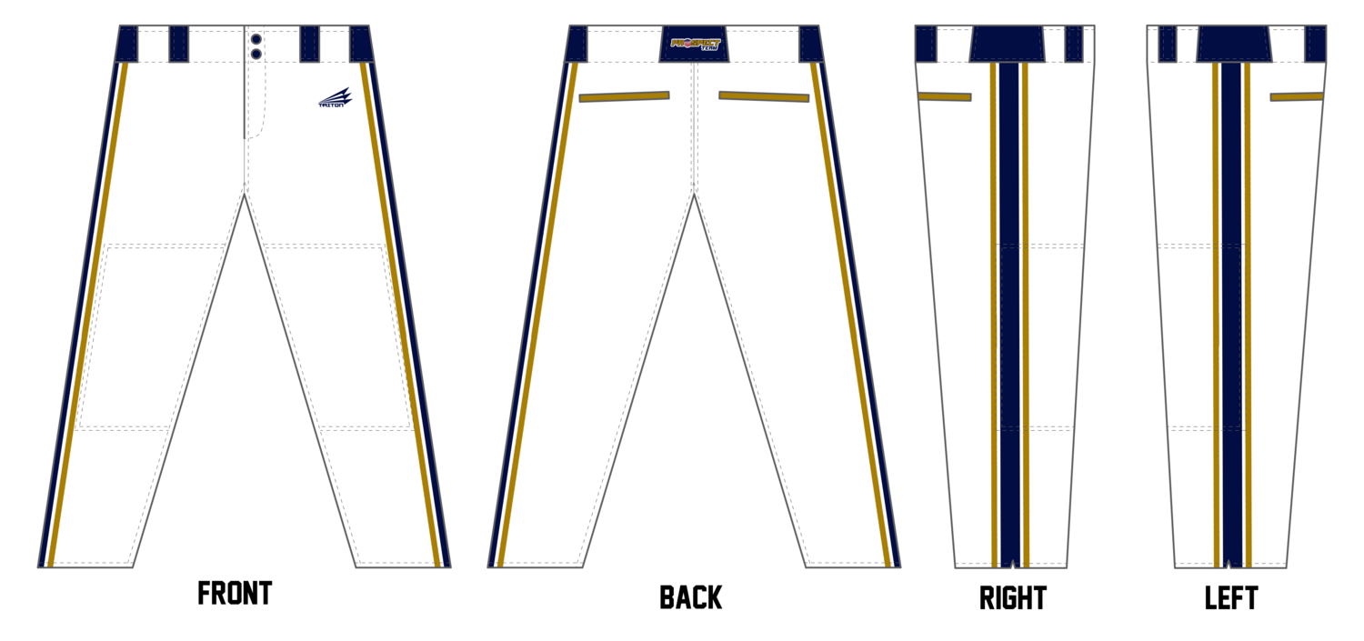 Game Day USA Prospect Team Custom Long Baseball Pant #BP1