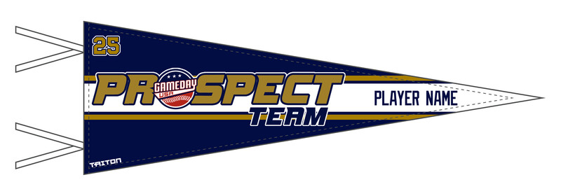 Game Day USA Prospect Team Custom Pennant #PF1