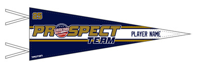 Game Day USA Prospect Team Custom Pennant #PF1