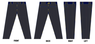 Northern Arizona University Lumberjacks Custom ProFit Baseball Pant #BP3