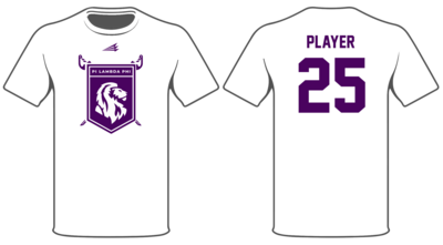 Pi Lambda Phi (Shamash) Custom HyperTee #HT1