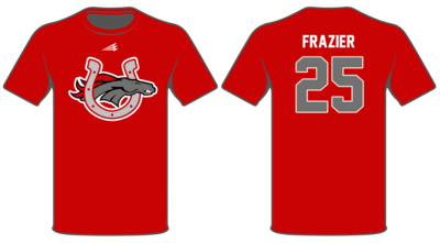 Palmetto HS Baseball Custom HyperTee #HT1