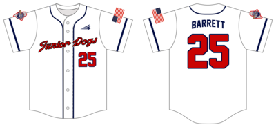 Maine Junior Dogs Custom NanoDri Baseball Jersey #J1