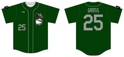 Keystone Cobras Custom NanoDri Baseball Jersey #J6C
