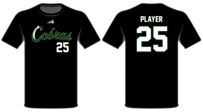 Keystone Cobras Custom HyperTee #HT1