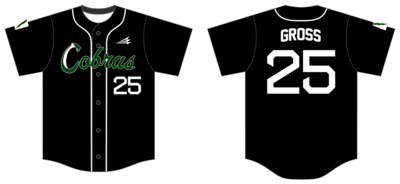 Keystone Cobras Custom NanoDri Baseball Jersey #J5C