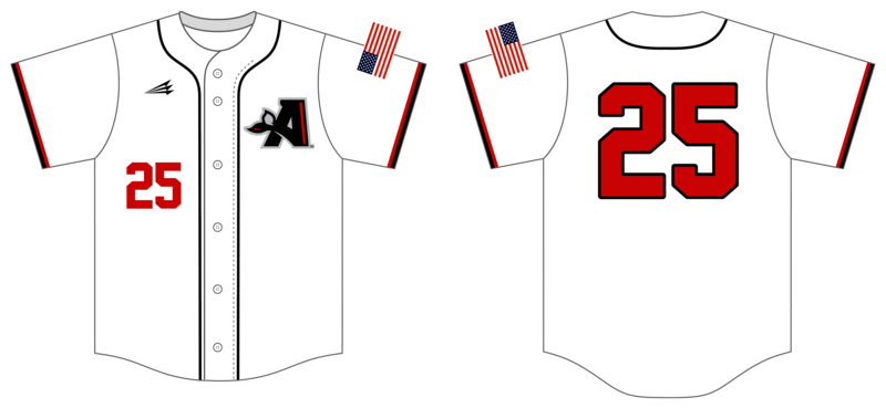 Alvin College Custom HexaFlex Baseball Jersey #J2D
