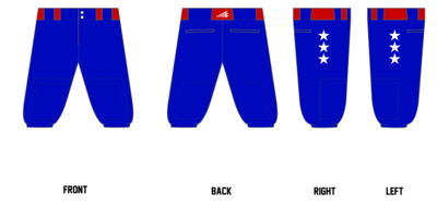 Arkansas Chosen Few Custom Knicker Baseball Pant #BP7B