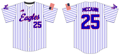 Lake Villa Eagles Custom NanoDri Baseball Jersey #J8B
