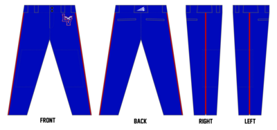 Lake Villa Eagles Custom Relaxed Baseball Pant #BP6C