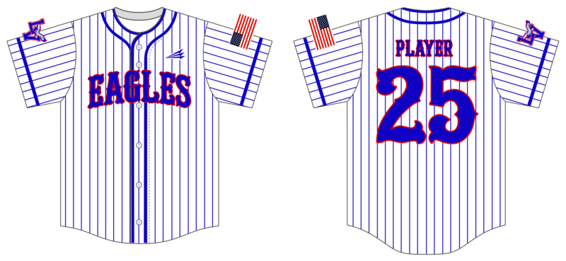 Lake Villa Eagles Custom NanoDri Baseball Jersey #J9E