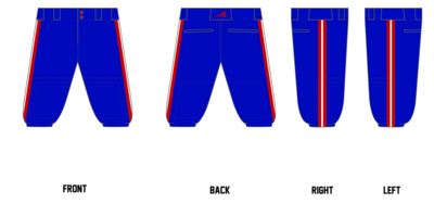 Lake Villa Eagles Custom Knicker Baseball Pant #BP2C