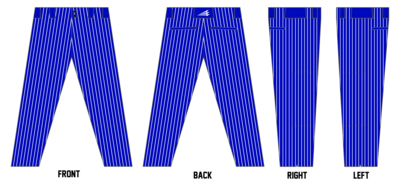 Lake Villa Eagles Custom Relaxed Baseball Pant #BP5