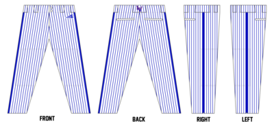 Lake Villa Eagles Custom Relaxed Baseball Pant #BP9D