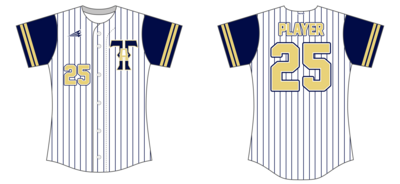 TTA Gold Softball Custom HexaFlex Baseball Jersey #J13