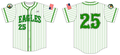 Thatcher Eagles Custom Pro Premier Baseball Jersey #J7