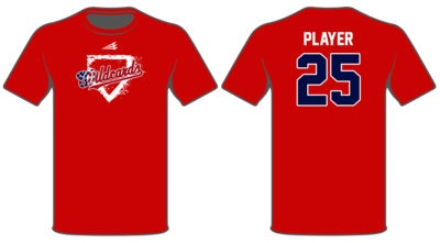 Leadoff Baseball Academy Wildcards Custom HyperTee #HT3