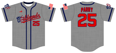 Leadoff Baseball Academy Wildcards Custom HexaFlex Baseball Jersey #J2B