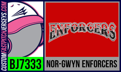 Nor-Gwyn Enforcers