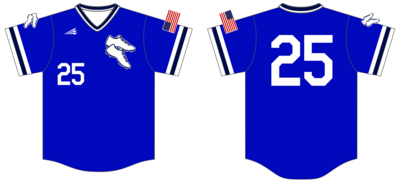 Salina SPikes Custom HexaFlex Baseball Jersey #J46b