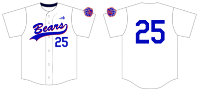 BGM Bears Custom NanoDri Baseball Jersey #J1C