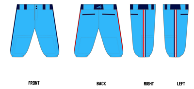 Twinsburg Tigers Custom Knicker Baseball Pant #BP10B