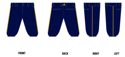 Twinsburg Tigers Custom Knicker Baseball Pant #BP14
