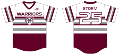Warriors (Storm) Custom HexaFlex Baseball Jersey #J1