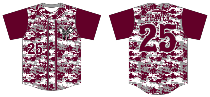 Warriors (Storm) Custom HexaFlex Baseball Jersey #J2