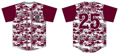 Warriors (Storm) Custom HexaFlex Baseball Jersey #J2