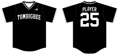 Tombigbee Tribe Custom Nanodri Baseball Jersey #J34B
