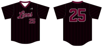 Richmond Hill Lions Custom Nanodri Baseball Jersey #J5B